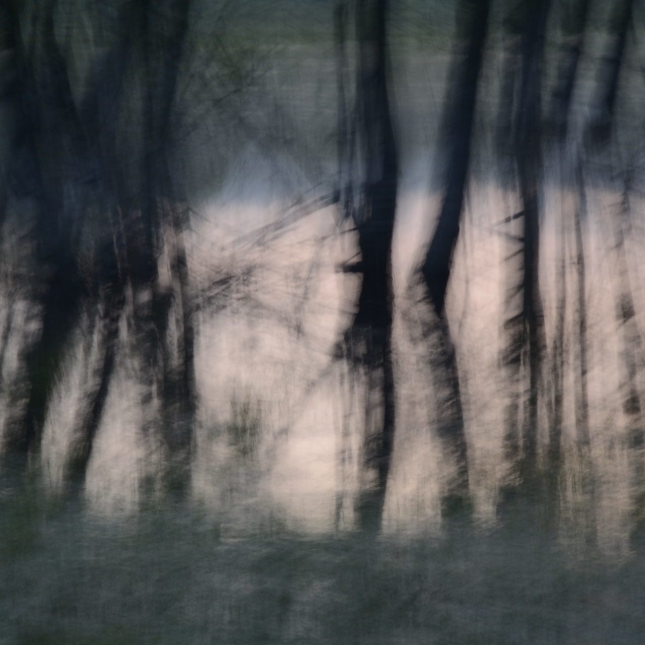 _DSC0611
