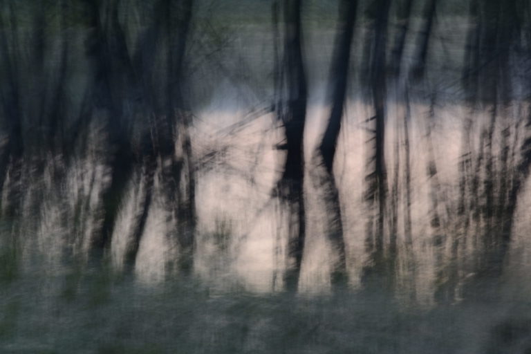 _DSC0611