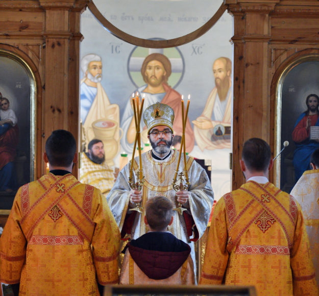 abp. Jaub 4 niedziela