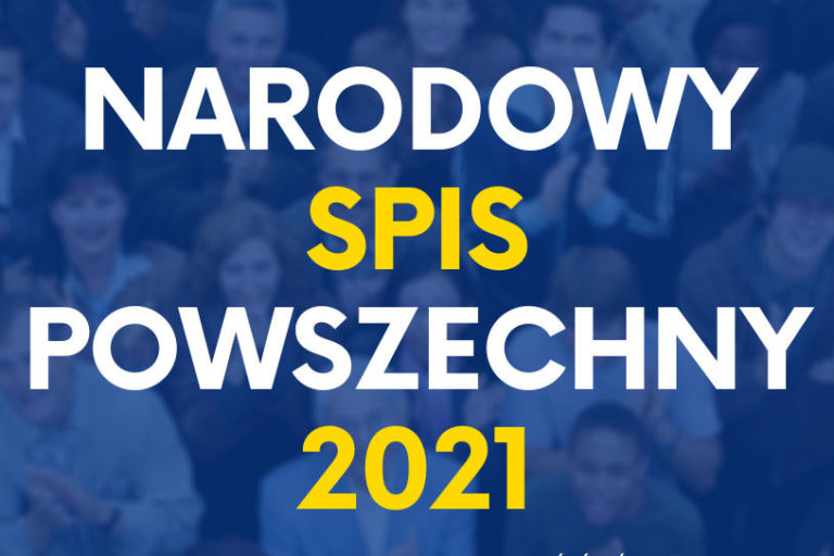 narodowy spis powszechny