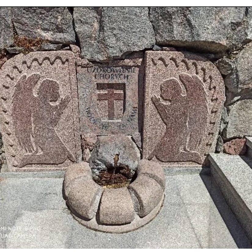 311035547_557994169418837_7302248157527342957_n